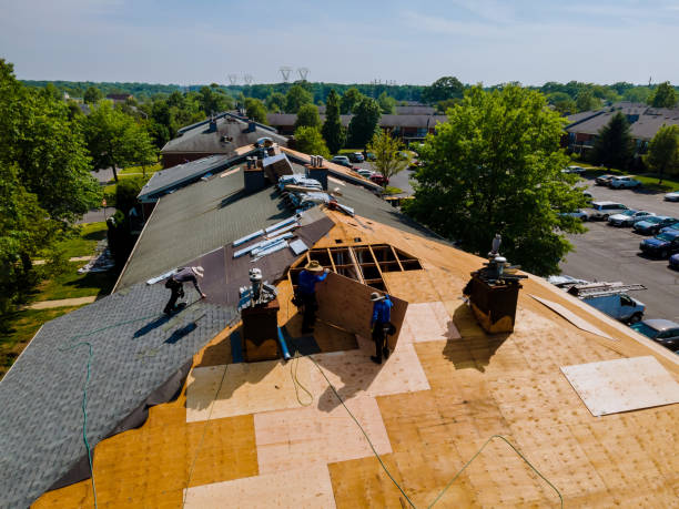 Gutter Installation and Roofing in Virginia, IL