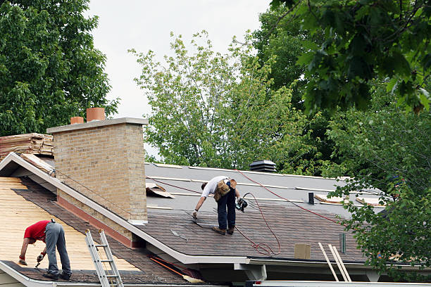Best New Roof Installation  in Virginia, IL