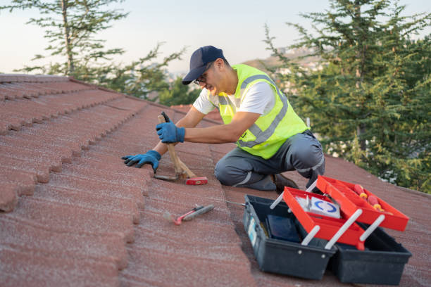Best Roof Gutter Cleaning  in Virginia, IL