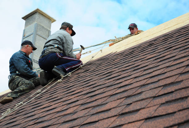 Best Roof Inspection Near Me  in Virginia, IL
